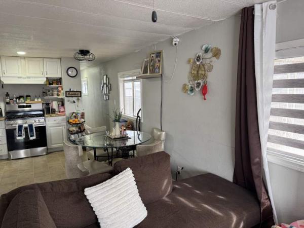 1980 Skyline Manufactured Home