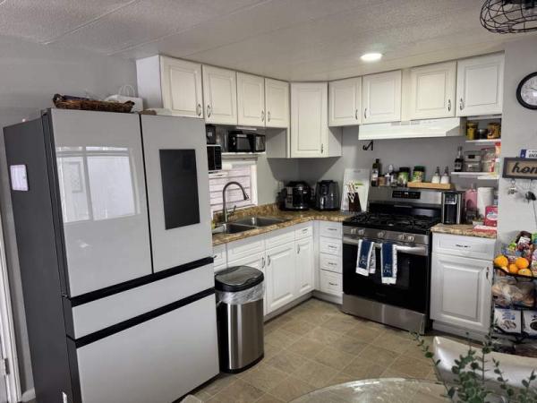 1980 Skyline Manufactured Home