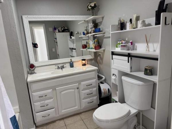 1980 Skyline Manufactured Home