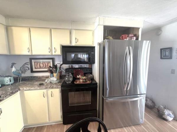 1981 Skyline Manufactured Home