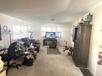 1981 Skyline Manufactured Home