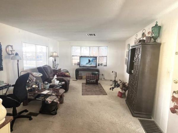 1981 Skyline Manufactured Home