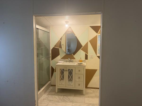 2002 Skyline Mobile Home