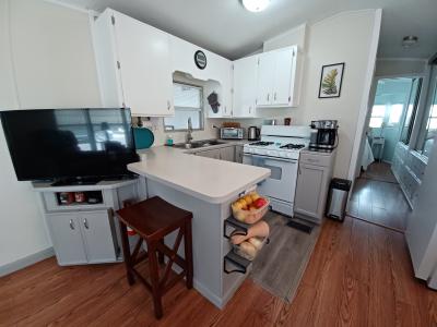 Photo 4 of 15 of home located at 37811 Chancey Road #251 Zephyrhills, FL 33541