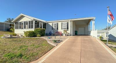 Photo 1 of 18 of home located at 217 Littler Ln Lady Lake, FL 32159