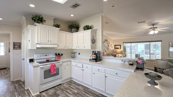 2007 Skyline Mobile Home