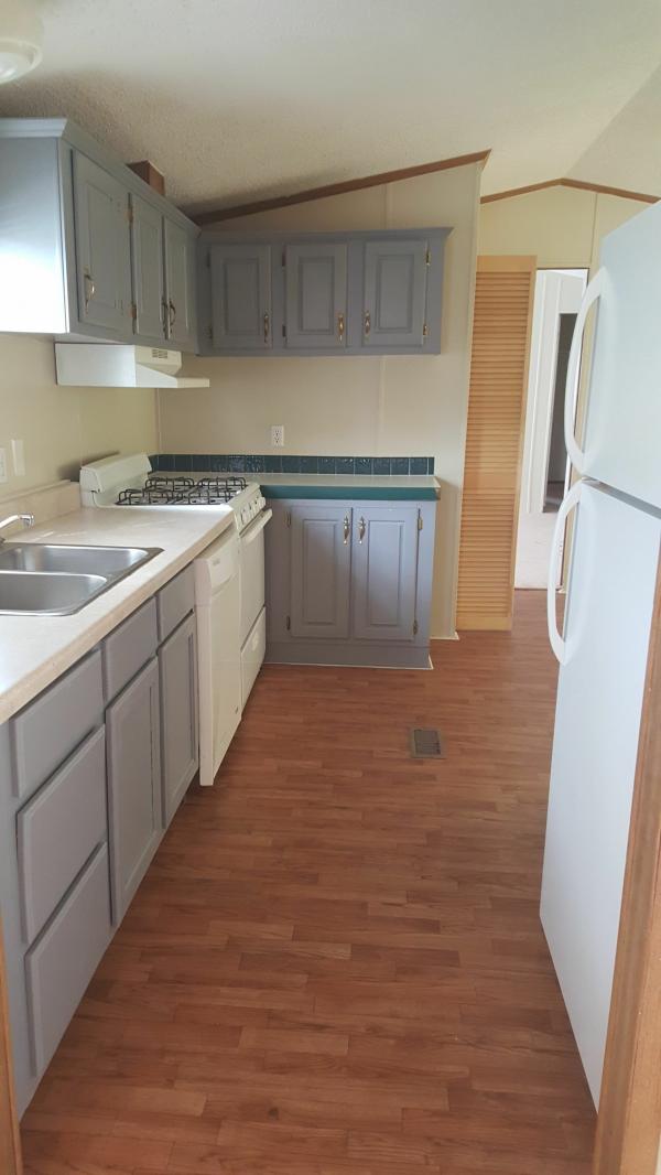 1995 Skyline Meadow Ridge Mobile Home