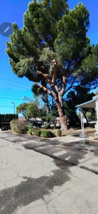 1974 Fashion Manor Mobile Home