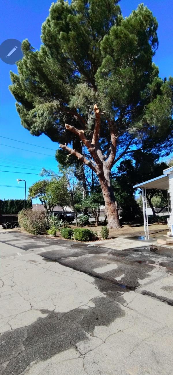 1974 Fashion Manor Mobile Home