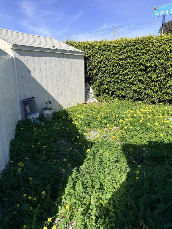 1981 Somerset Mobile Home