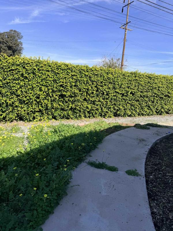 1981 Somerset Mobile Home