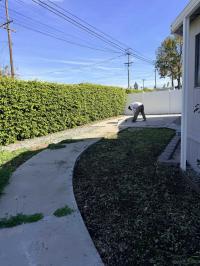 1981 Somerset Mobile Home