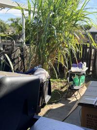 1977 Buckingham  Mobile Home