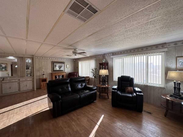 1980 Skyline Hillcrest Manufactured Home