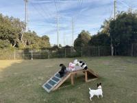 2023 Palm Harbor - Plant City Casa Marina w/Den Mobile Home