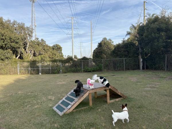 2022 skyline- ocala Bayshore Mobile Home