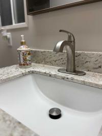 1978 Skyline - Mobile Home