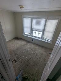 1985 Skyline Mobile Home