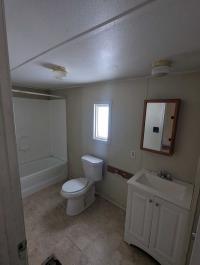 1985 Skyline Mobile Home