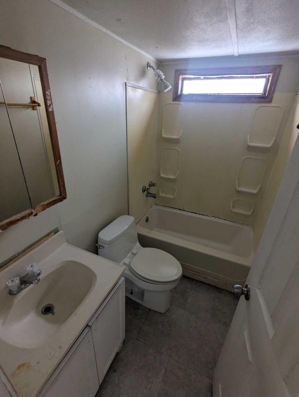 1985 Skyline Mobile Home