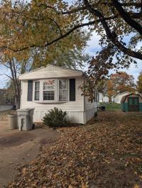 1985 Skyline Mobile Home