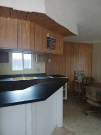 1975 El Cortez 7200 Mobile Home