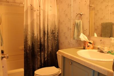 Photo 5 of 12 of home located at 308 Hibiscus St Davenport, FL 33897