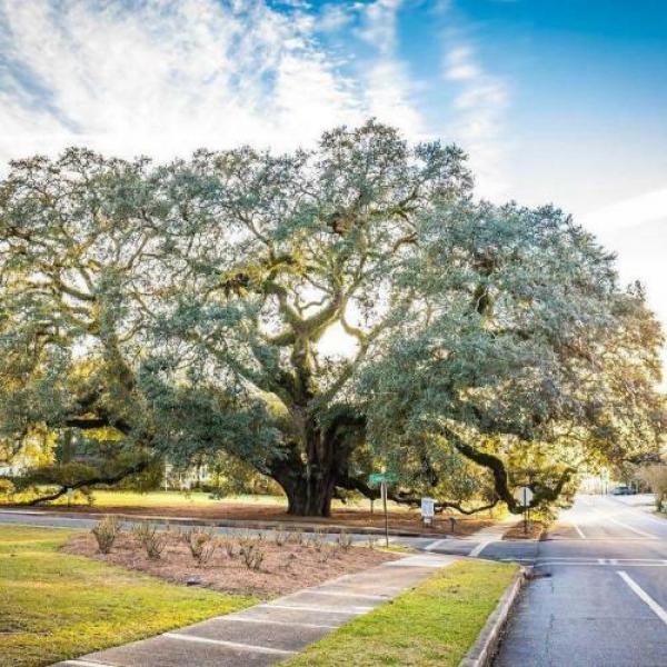 1998 Sweetwater Mobile Home For Sale