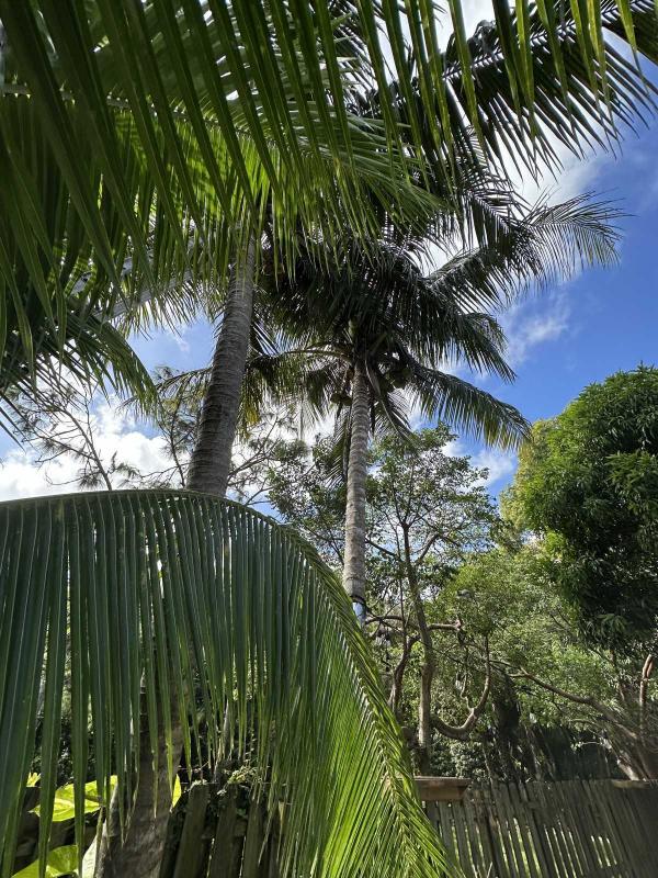 2000 WINN Manufactured Home