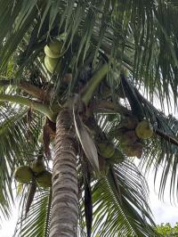 2000 WINN Manufactured Home