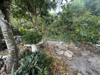 2000 WINN Manufactured Home