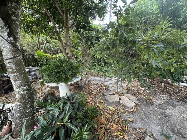 2000 WINN Manufactured Home