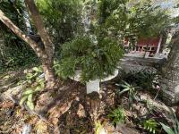 2000 WINN Manufactured Home