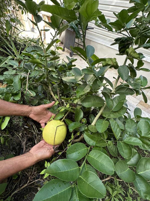 2000 WINN Manufactured Home