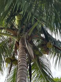 2000 WINN Manufactured Home