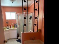 1972 Americana Mobile Home