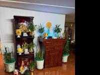 1972 Americana Mobile Home