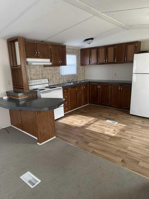 Photo 1 of 2 of home located at 440 Phillip Stone Way Cantral City, KY 42330