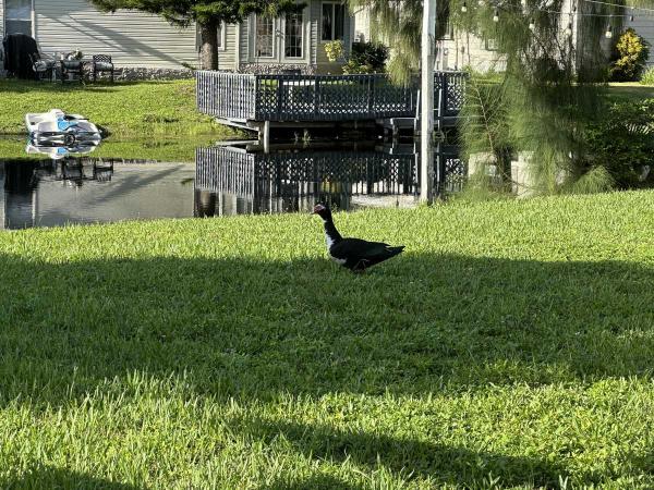 1983 TWIN Manufactured Home