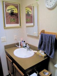 2010 Skyline Forest Brook/sup  (0401K) Mobile Home