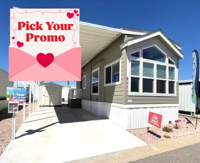 Mobile Home at 146 N. Merrill Rd. #002 Apache Junction, AZ 85120
