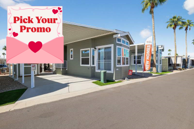 Mobile Home at 600 S. Idaho Rd. #413 Apache Junction, AZ 85119