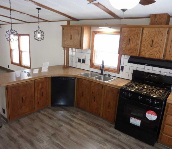 1985 Skyline Mobile Home