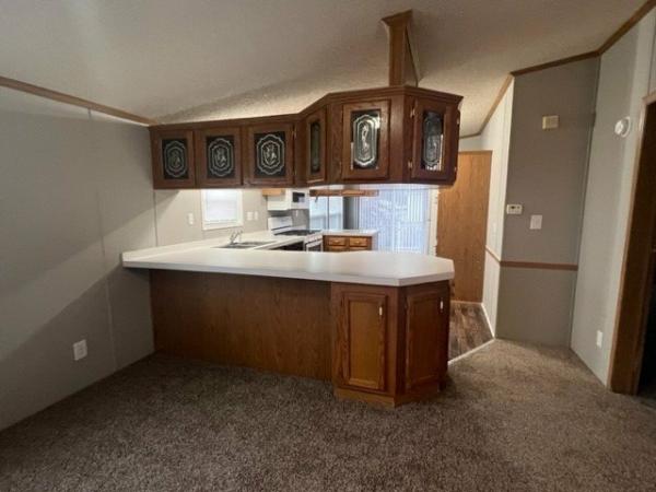 1997 Skyline Mobile Home