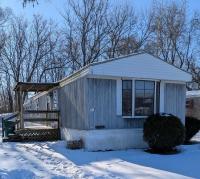 1990 SKYLINE Mobile Home