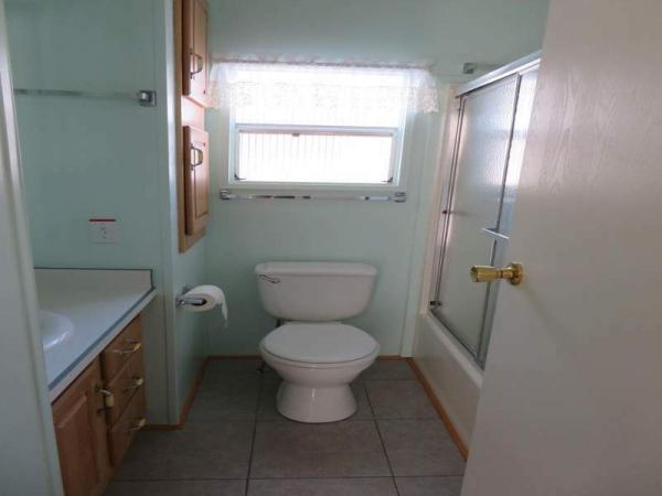 1996 Skyline Manufactured Home