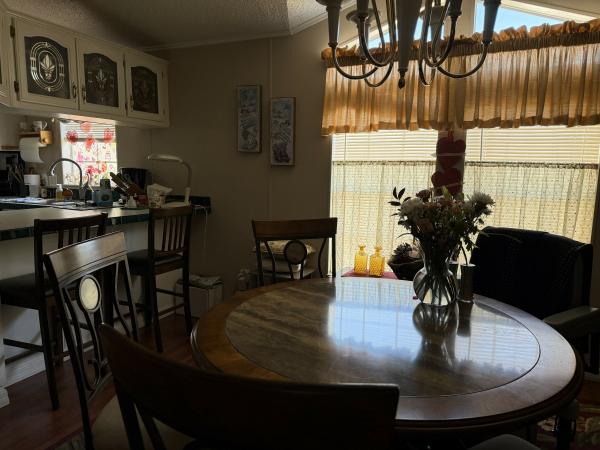 1999 Skyline Skyl Mobile Home