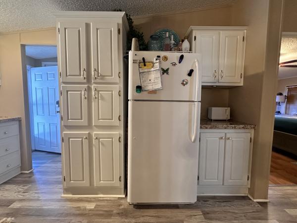 1997 Skyline BKS710CTP Mobile Home