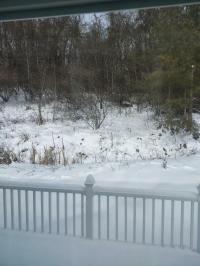 2026 SKYLINE 169 2L N656  Home