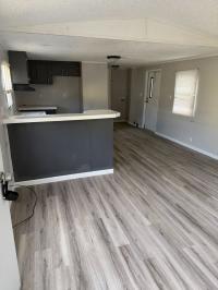 1996 Genesis Mobile Home